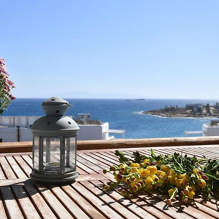 Irene'S House Villa Piso Livadi Exterior photo
